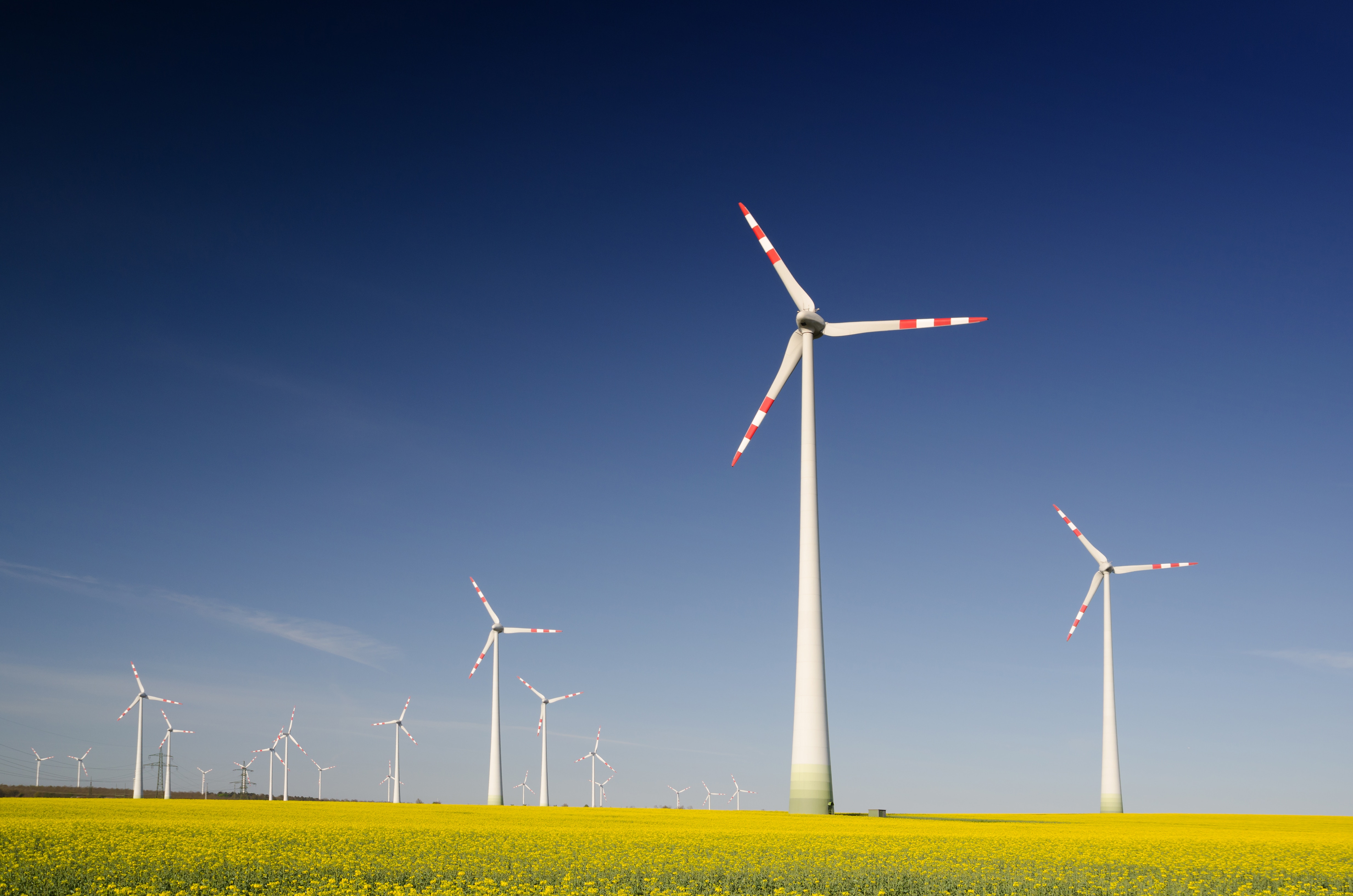 Environmental, social and governance